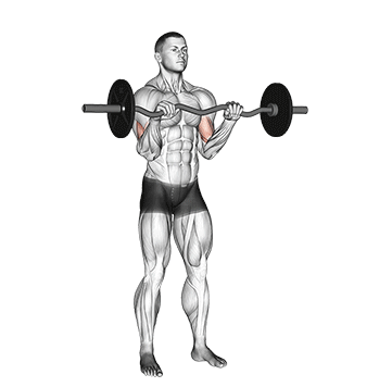 Rosca direta pegada pronada