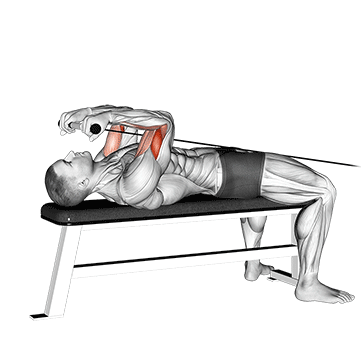 Rosca direta deitado