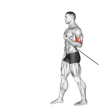 Rosca unilateral atras do corpo