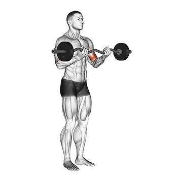 Rosca direta barra w