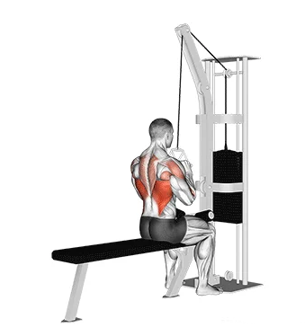 Pulley frente triângulo