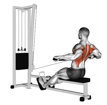 Remada baixa pronada