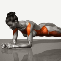 treino de resistencia