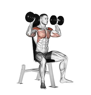 Desenvolvimento com halteres