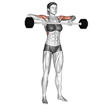 Remada alta com barra