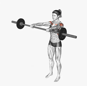 Elevação frontal com barra