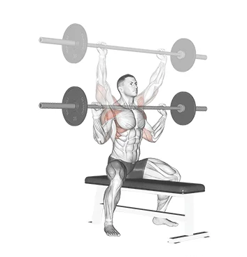 Desenvolvimento com barra