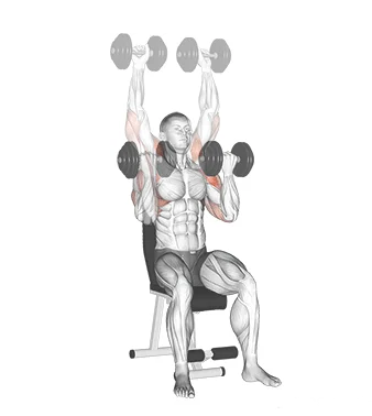 Desenvolvimento Arnold