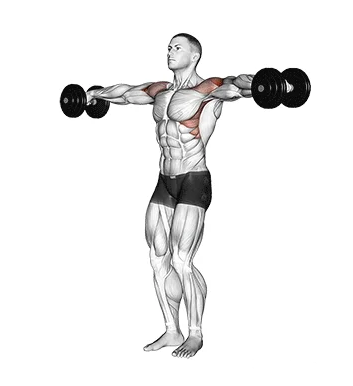 Elevação lateral com halteres