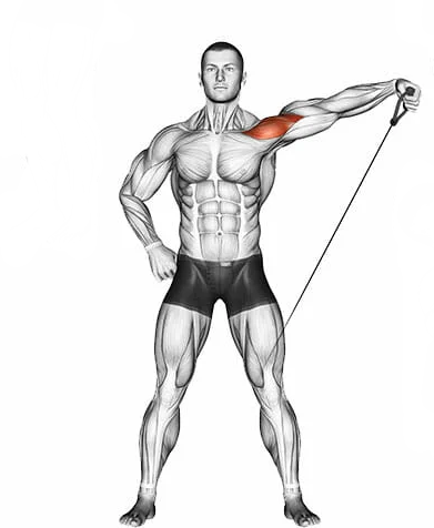 Elevação lateral na polia