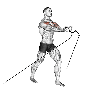 Crossover polia baixa