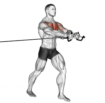 Crossover polia média