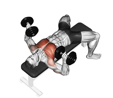 Supino reto com halteres