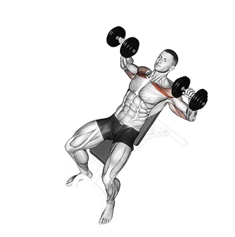 Supino inclinado com halteres