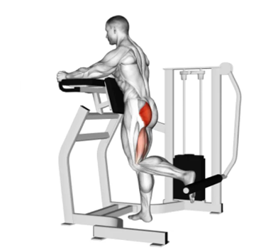 Extensão de quadril