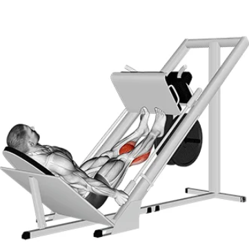 Panturrilha no leg press