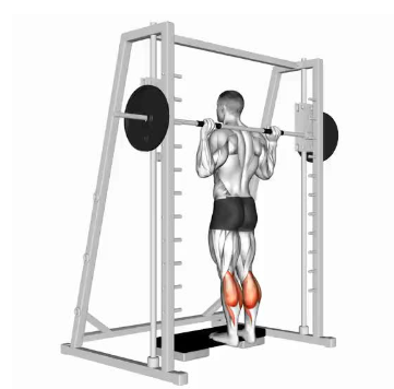 Panturrilha no smith machine