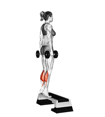 Elevação de panturrilha