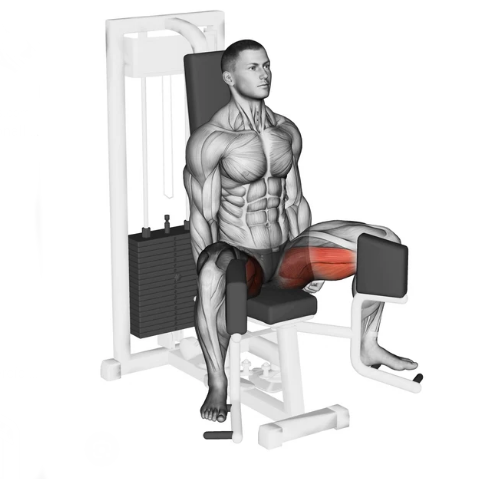 Cadeira abdutora e adutora