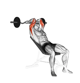 Tríceps testa inclinado