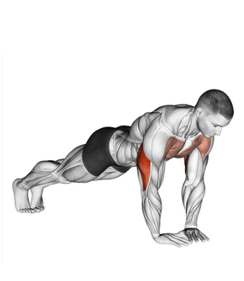 Flexão de braços fechada