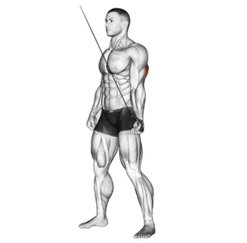 Triceps unilateral