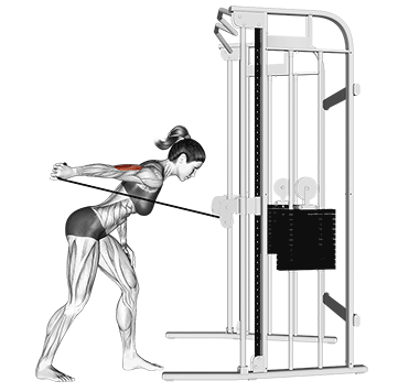 Triceps coice pulley